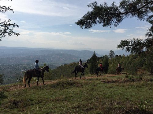 KhUKhu Hay Balls pour Chevaux et Chèvres, Horse Rwanda