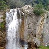 Things To Do in Theodoriana Waterfalls, Restaurants in Theodoriana Waterfalls