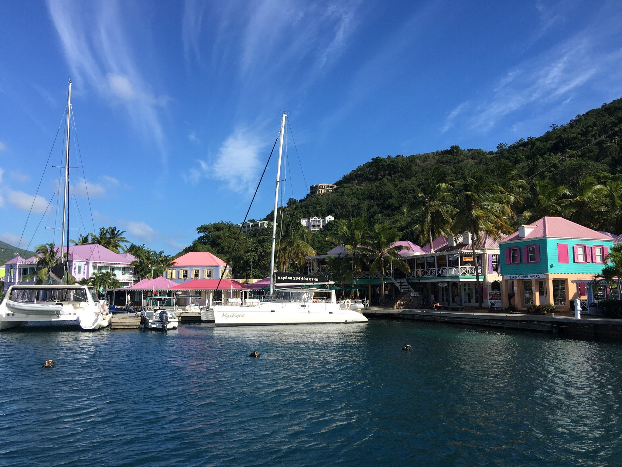 THE 15 BEST Things To Do In Tortola - 2022 (with Photos) - Tripadvisor