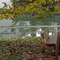 Lago do parque