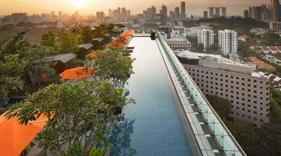 Infinity Pool with a Majestic View