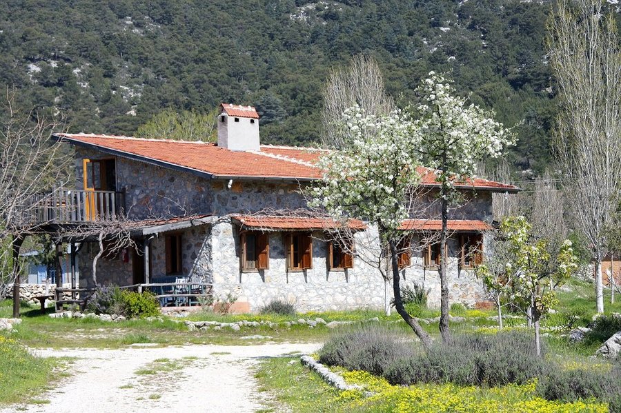 blacktree farm and cottages prices guest house reviews fethiye turkey tripadvisor
