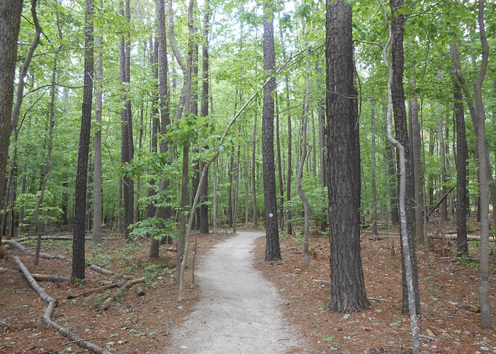 One of the trails