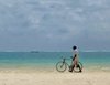 beachwalker2016