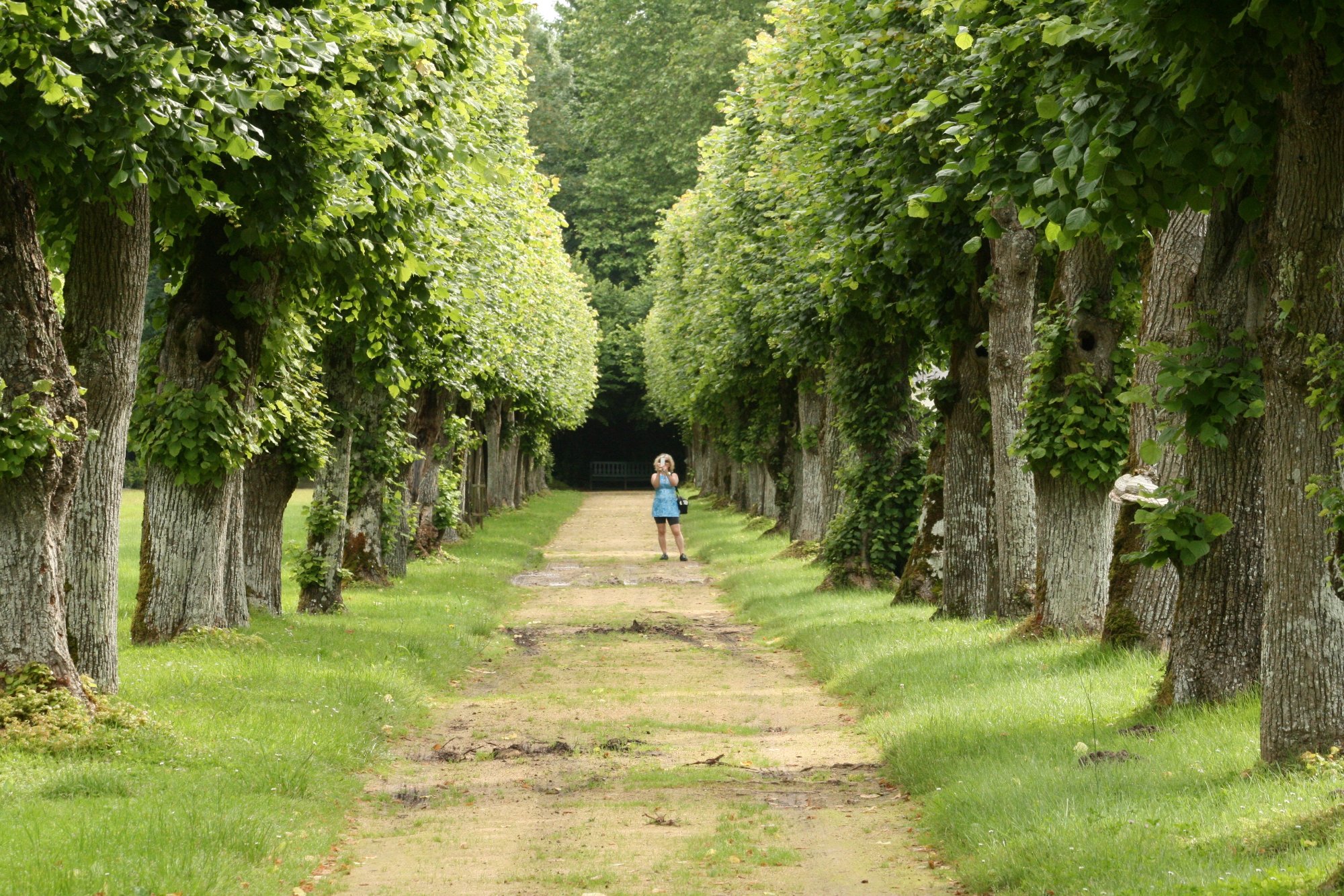 CHATEAU DU LATHAN All You Need to Know BEFORE You Go with Photos