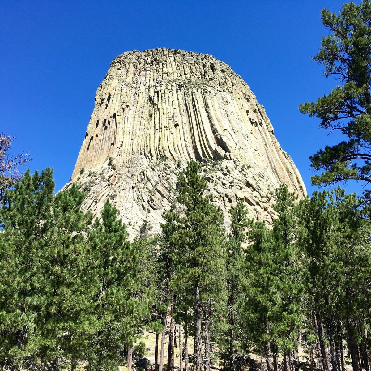 Parking - Devils Tower National Monument (U.S. National Park Service)