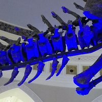 DubaiDino