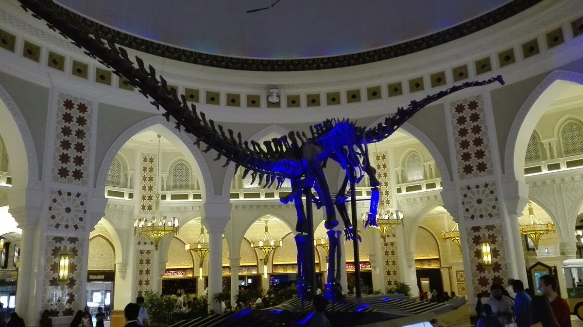 DubaiDino, Дубай: лучшие советы перед посещением - Tripadvisor