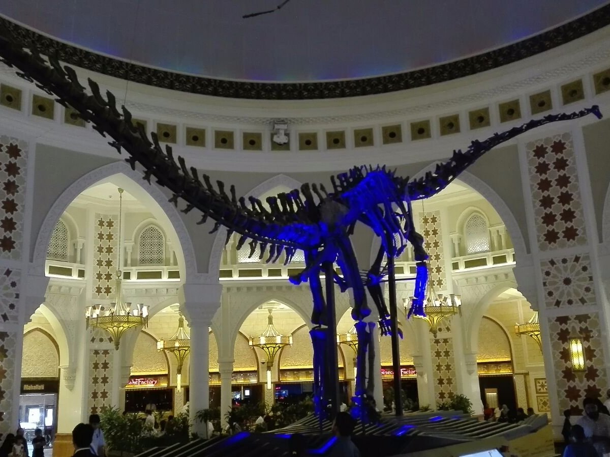 DubaiDino, Дубай: лучшие советы перед посещением - Tripadvisor