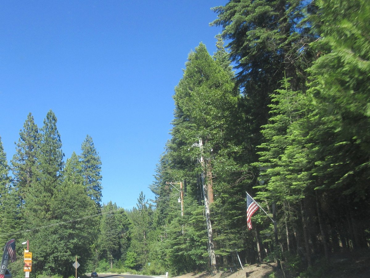 STANISLAUS NATIONAL FOREST (Hathaway Pines): All You Need to Know