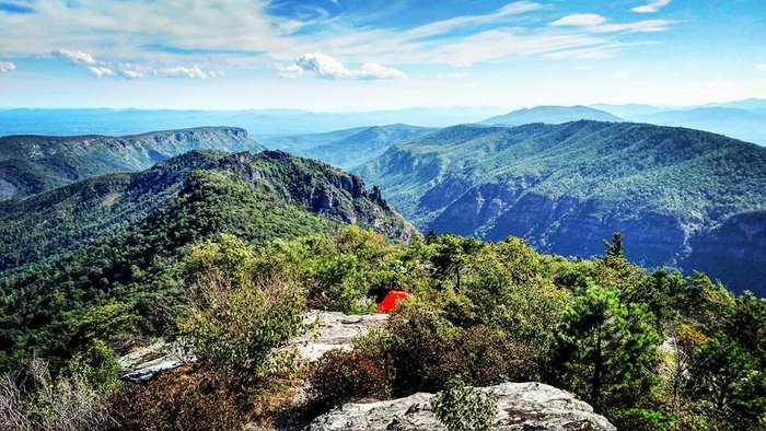 are dogs allowed in linville gorge