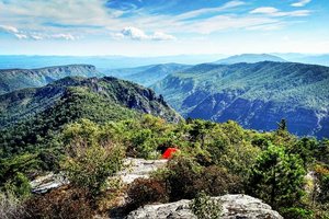 THE BEST 10 Bubble Tea near Linville Falls, NC - Last Updated September  2023 - Yelp