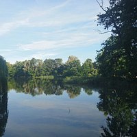 Reflections on the lake