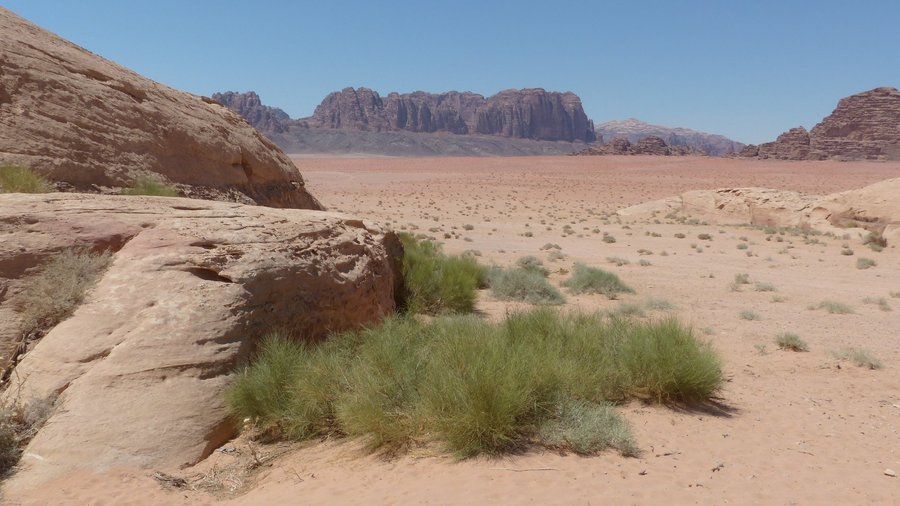 wadi rum