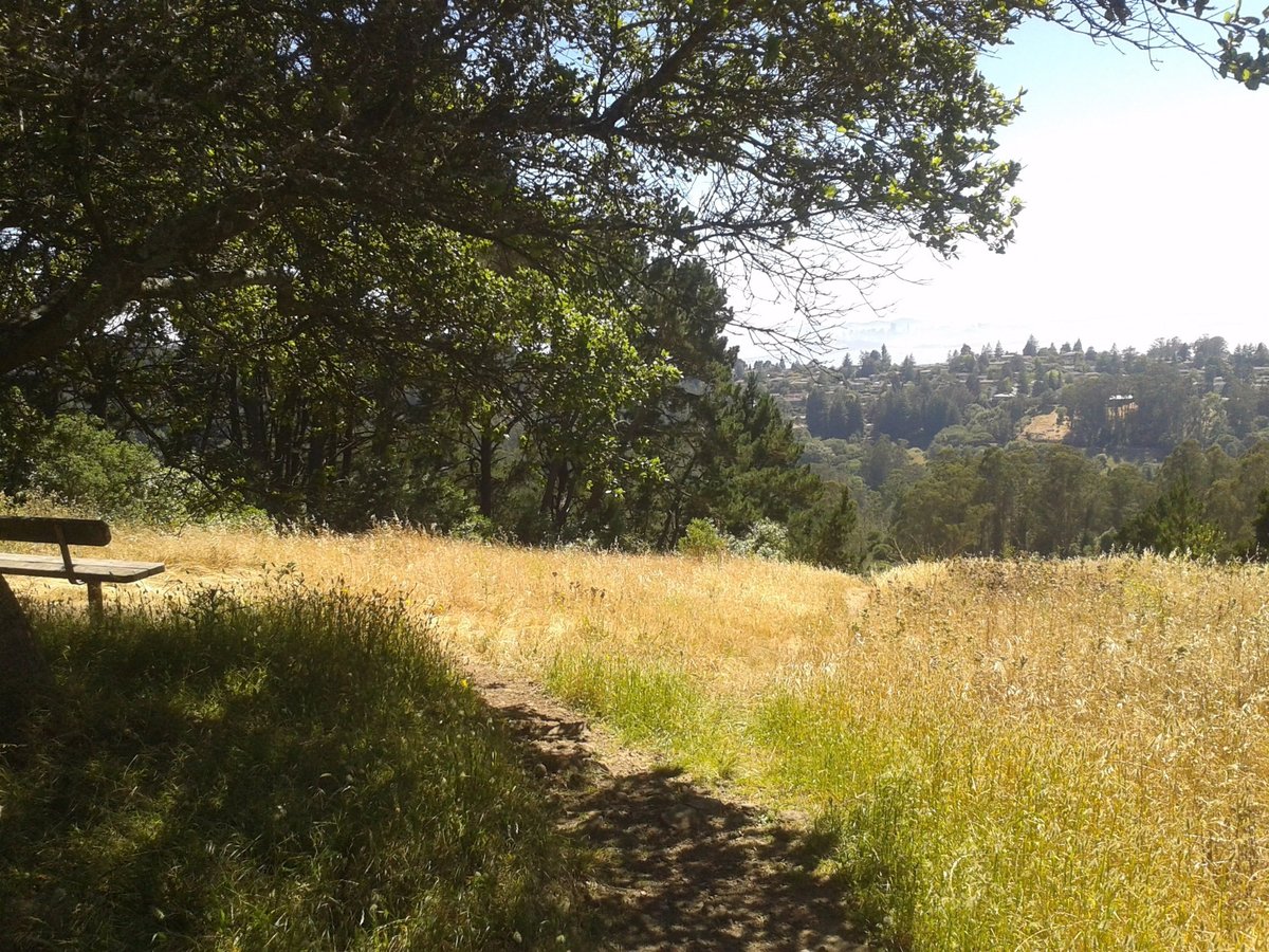 Tilden Regional Park (Berkeley) - All You Need to Know BEFORE You Go