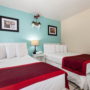 The Two Double Beds at the Key West Youth Hostel & Seashell Motel