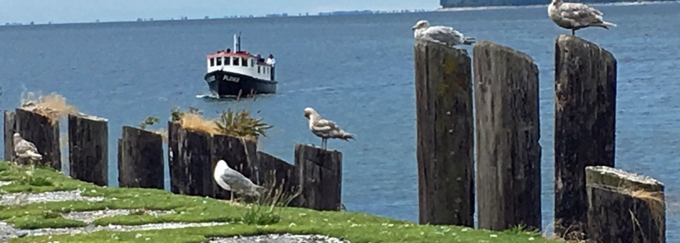 Ferry arriving at the Spit