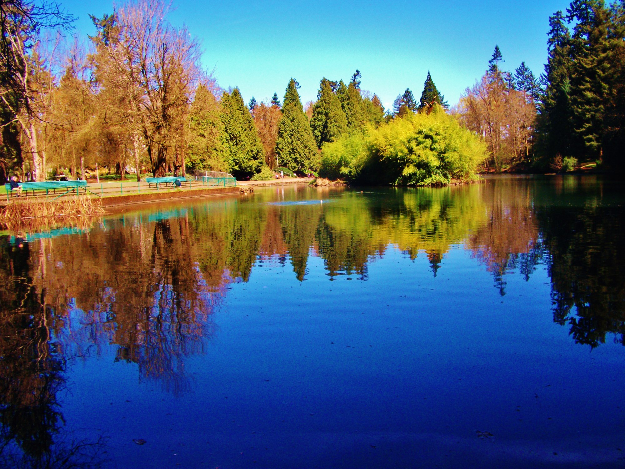 Portland Japanese Garden - 2022 Alles Wat U Moet Weten VOORDAT Je Gaat ...