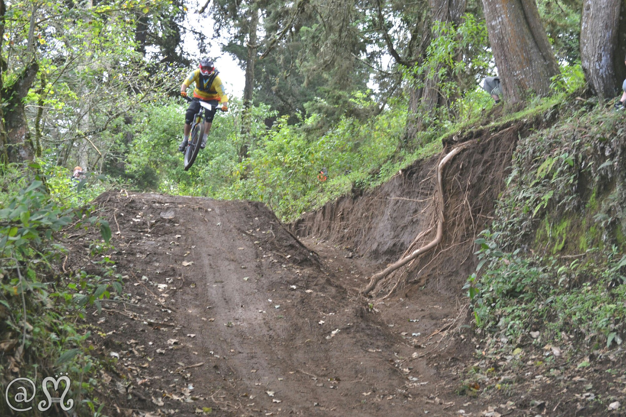 La angelina store bike park