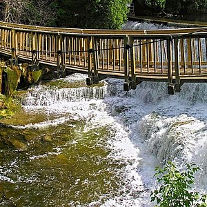 Finding Tranquility: Fly Fishing at Glen Haffy – York Durham Headwaters