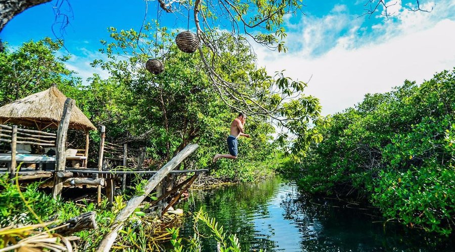 jumping in the cenote