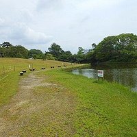 緑ケ丘公園