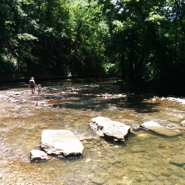 Red River Gorge Geological Area (Winchester) - 2022 All You Need to ...