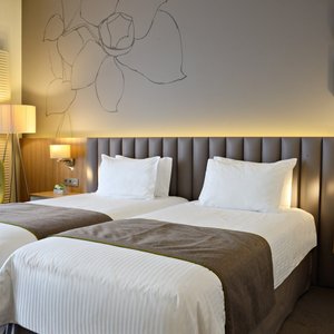 Executive Room Twin - Улучшенный номер c 2 кроватями
