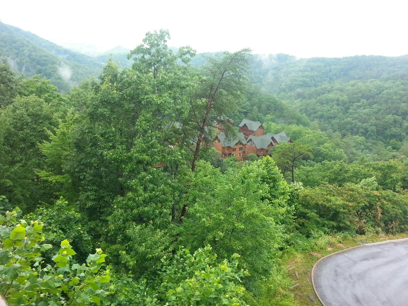 Black Bear Ridge Resort - Reviews & Photos
