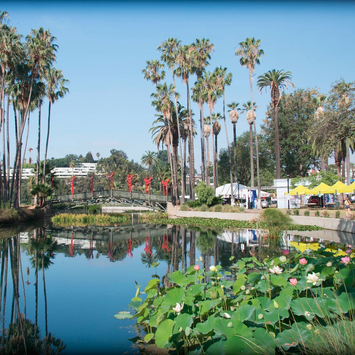 Things to Do at Echo Park Lake - Love & Loathing Los Angeles