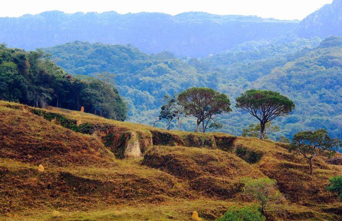 Serra São José