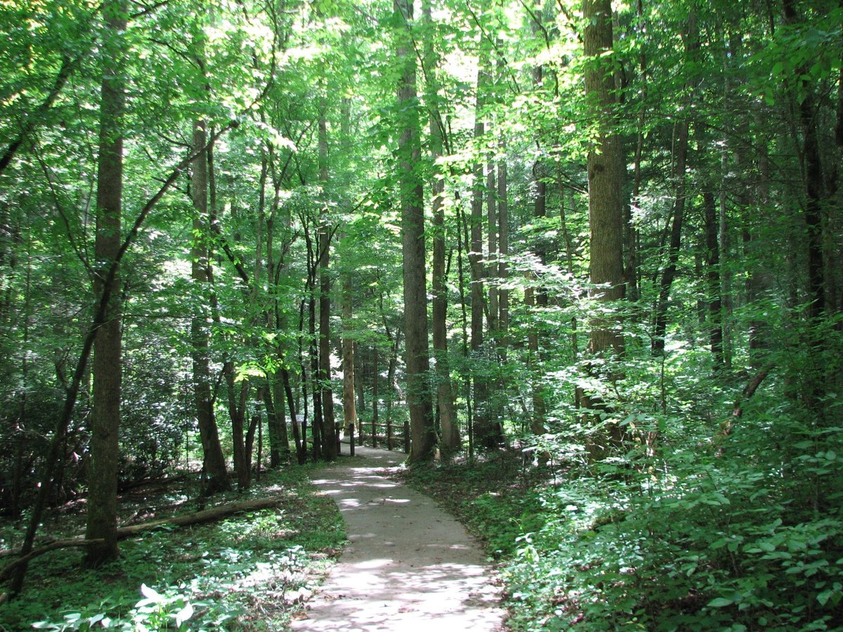 Sugarlands Valley Nature Trail (Great Smoky Mountains National Park ...