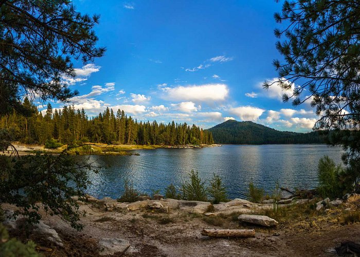 Looking through the trees at Bass Lake, California. Photo By Darvin Atkeson