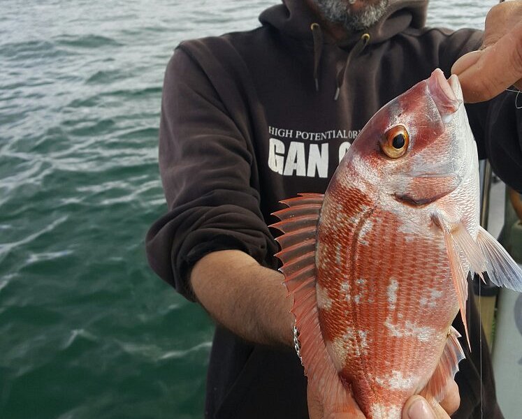 SAINT-MALO PÊCHE PLAISIR - Y.Bigné guide de pêche en mer