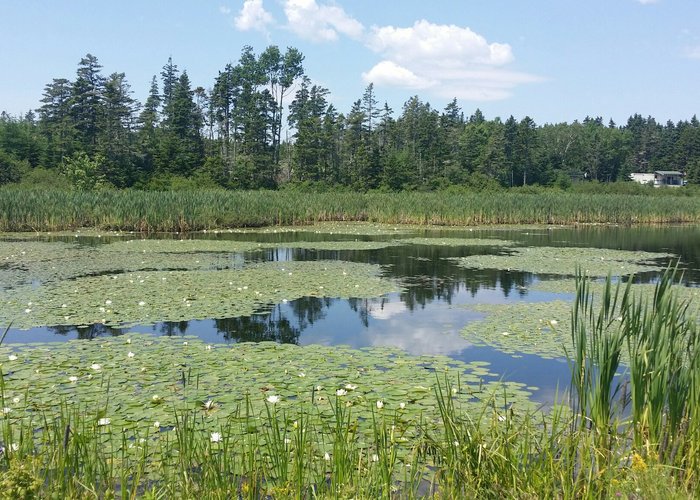 Chester Basin, Nova Scotia 2023: Best Places to Visit - Tripadvisor