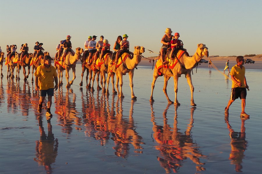 sundowner camel tours