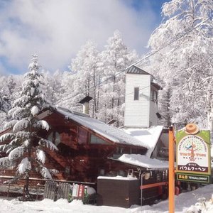 funtastick winter scenery