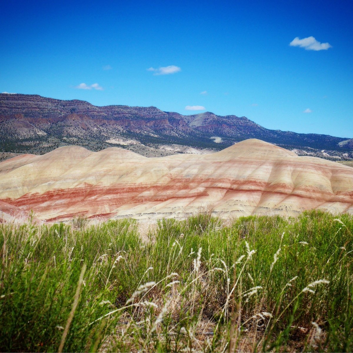 Painted Hills Unit - John Day Fossil Beds National Monument (U.S. National  Park Service)