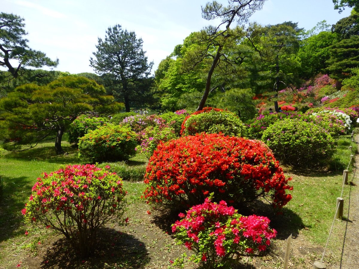 Rikugien Garden, Бункё: лучшие советы перед посещением - Tripadvisor