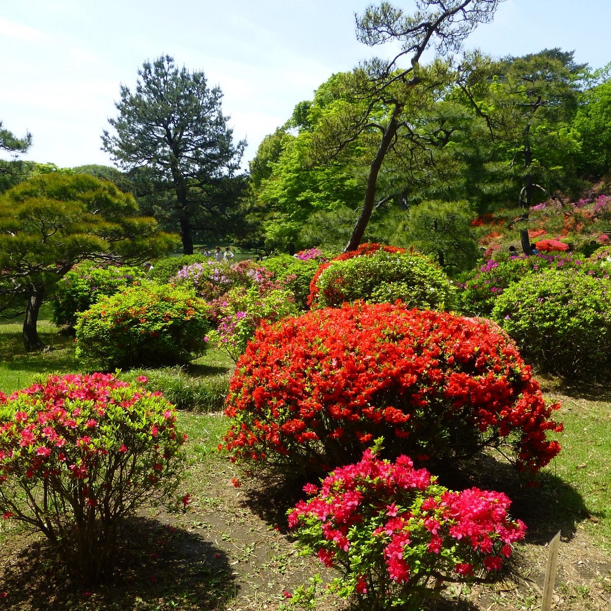 Rikugien Garden, Бункё: лучшие советы перед посещением - Tripadvisor