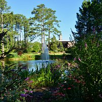 Beautiful view of the Cypress Pond