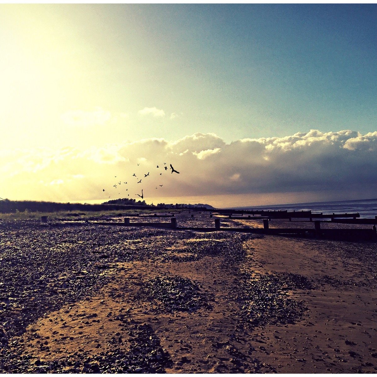 Leysdown Beach Leysdown On Sea All You Need To Know