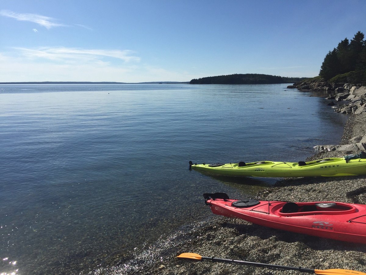 ACADIA PARK KAYAK TOURS (Bar Harbor) - 2023 Qué saber antes de ir - Lo ...