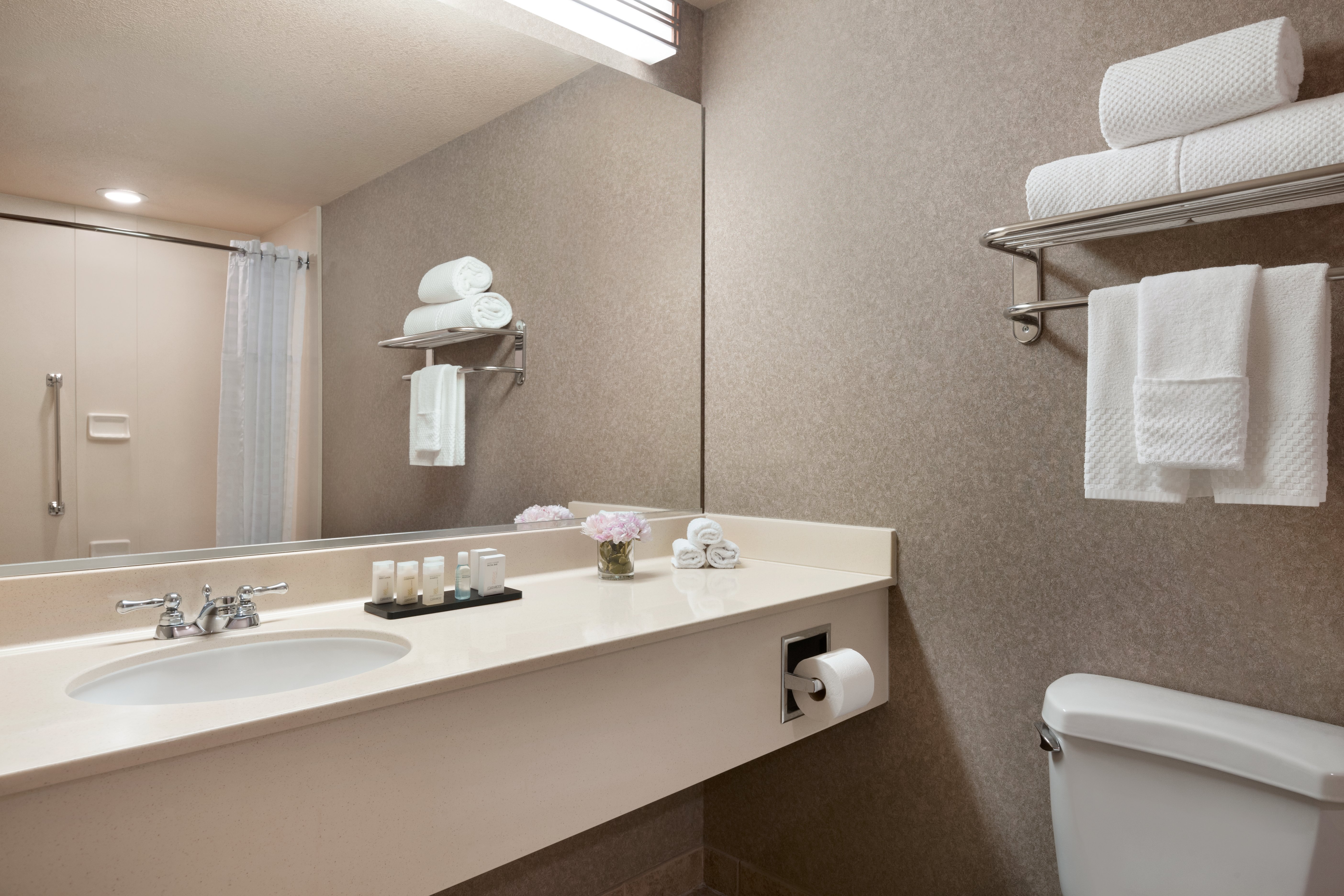 Hotel photo 38 of Embassy Suites by Hilton Grapevine DFW Airport North.