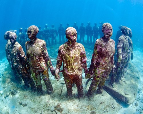  Grenada Marine Life: Tribal Rhythms of the Sea Grenada