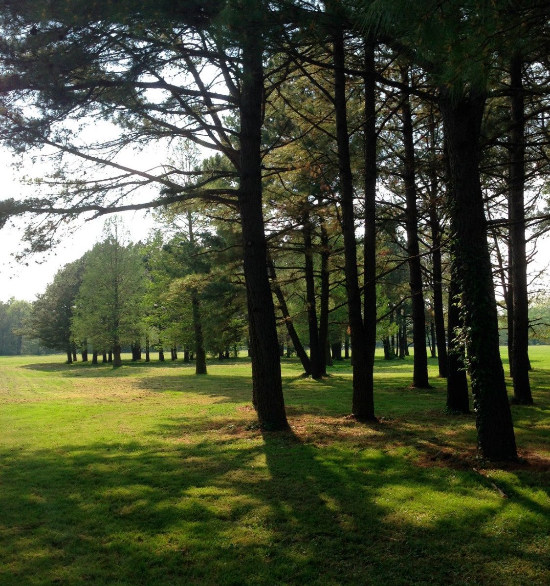 West Meadow Park (2025) All You Need to Know BEFORE You Go (with Reviews)