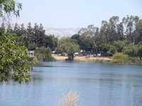Almaden Lake Park San Jose 2021 All You Need To Know Before You Go With Photos Tripadvisor