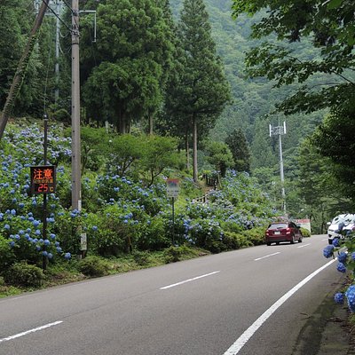 東海地方の眺めのよいドライブコース 東海地方の 10 件の眺めのよいドライブコースをチェックする トリップアドバイザー