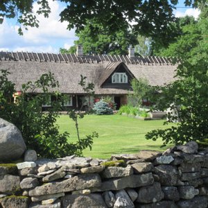 The front yard