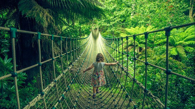 Cross the Jungle on a Burmese rope bridge
